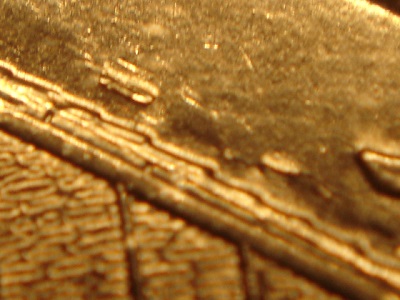 2015-P-Homestead-Quarter:--Huge-Die-Break-Base-Of-Bucket